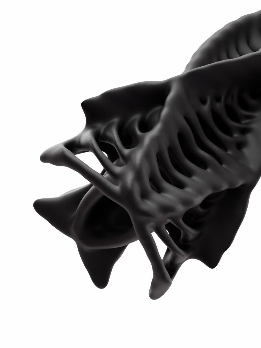 Embryo Form Sculptural Organic Vase with Futuristic Aesthetic - Chic Chambers