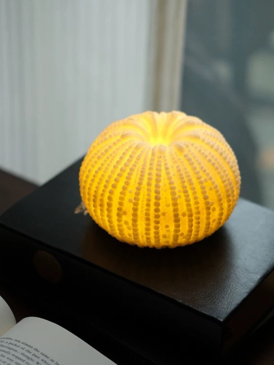 Ocean Shell Mood Lamp