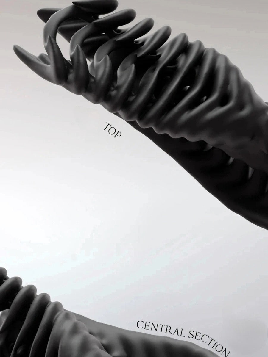 Embryo Form Sculptural Organic Vase with Futuristic Aesthetic - Chic Chambers