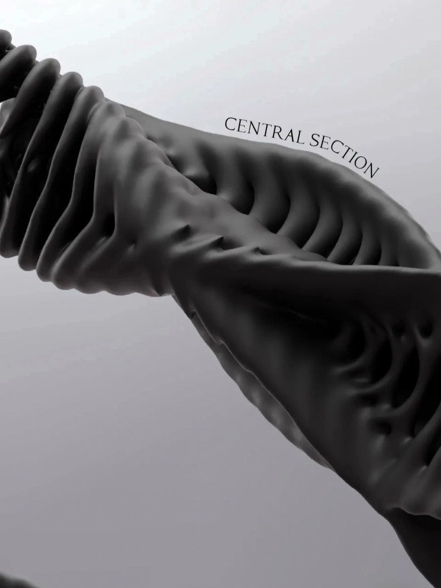 Embryo Form Sculptural Organic Vase with Futuristic Aesthetic - Chic Chambers